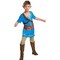 Child Link Breath of the Wild Classic Costume Blue Tunic with Character Ears